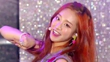 Playback - Playback - Playback 现场版