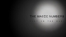 Shot In The Dark