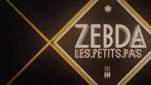 Zebda - Les Petits Pas
