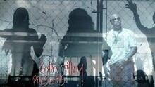 Birdman - Dark Shades