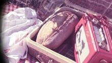 Do You Saint-Tropez ? (Dou-Liou Dou-Liou Saint-Tropez)