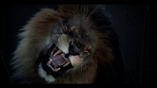 50分 - Animal Ambition