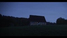Bosse - Kraniche