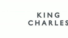 King Charles - The Brightest Lights
