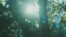 The Maccabees - Ayla