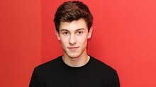 Shawn Mendes,One Direction - Drag Me Down