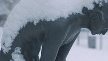 Chrissie Hynde - Stockholm Trailer 01