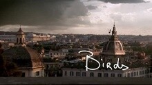 Anouk - Birds