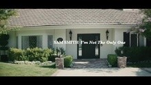 Sam Smith - I'm Not The Only One