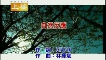 许慧欣 - 自然反应