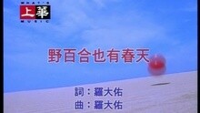 孟庭苇 - 野百合也有春天