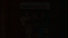 Zed - Renegade Fighter