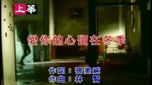 许茹芸 - 秘密