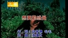 许茹芸 - 想要的感觉
