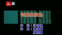 李翊君 - 你那么爱她