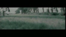 林苑 - 喀什噶尔胡杨