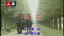 李翊君 - 浪花
