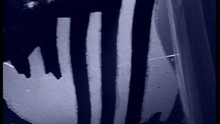 The Cure - A Letter To Elise