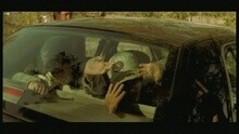Animal Instinct