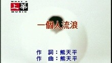 Panda Hsiung - 一个人流浪