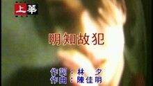 许美静 - 明知故犯 (粤)