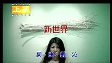 许茹芸 - 新世界