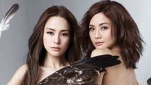 Twins - 二人世界杯 + 愛情当入樽...