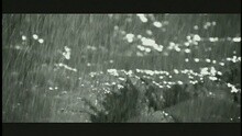 ENERGY - 爱失控