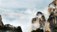 思念是一种病