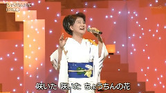 川中美幸 - ちょうちんの花