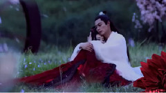 赵丽颖,霍建华 - Safe And Sound