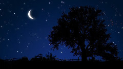 音乐短片 - Dream World