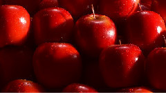 音乐短片 - 四原色篇