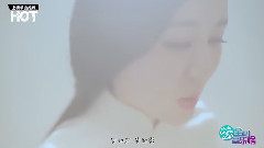 魏新雨 - 上榜单曲 恋人心