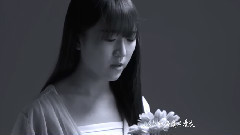 陈仁丰 - 鱼缸