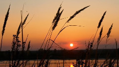 音乐短片 - 日出日落