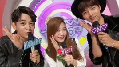 崔珉豪(SHINee),VIXX,YERI(Red Velvet),Red Velvet,SHINee - MC Cut