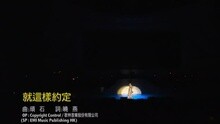 蔡琴 - 就这样约定