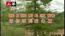 高胜美 - 等你等到我心痛