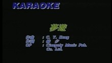 王蓉 - 梦游