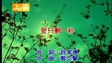 许茹芸 - 爱只剩一秒