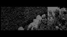 陈奕迅 - WHAT A WONDERFUL WORLD