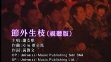 谢安琪 - 节外生枝 (视听版)