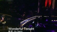 谭咏麟,杜丽莎 - Wonderful Tonight