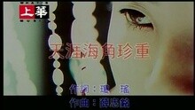 许茹芸 - 天涯海角珍重