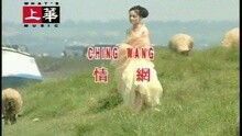 高胜美 - 情网