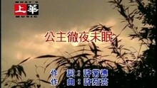 许茹芸 - 公主彻夜未眠