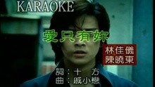 林佳仪,陈晓东 - 爱只有你