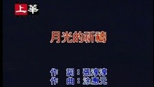 许茹芸 - 月光的祈祷