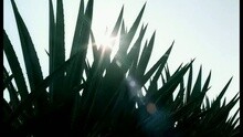 Shania Twain - Don't!